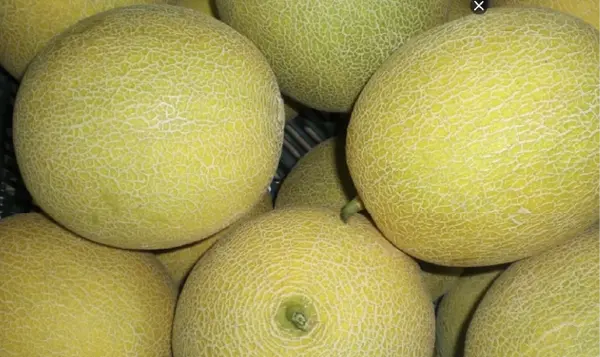 Melones